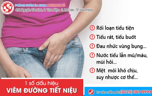 Mách bạn thuốc trị đường tiết niệu an toàn, chi phí rẻ hiện nay Mách bạn thuốc trị đường tiết niệu an toàn, chi phí rẻ hiện nay