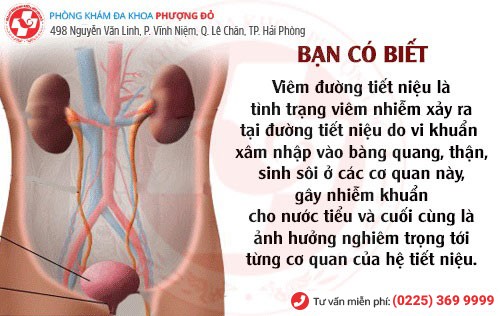 Tổng quan viêm đường tiết niệu nữ Tổng quan viêm đường tiết niệu nữ
