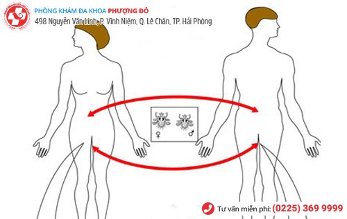 Phòng khám đa khoa Phượng Đỏ