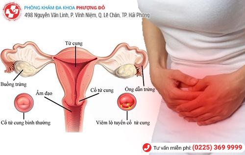 Phòng khám đa khoa Phượng Đỏ