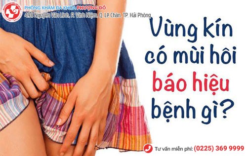 Vùng kín nữ có mùi hôi do nhiều nguyên nhân gây nên Vùng kín nữ có mùi hôi do nhiều nguyên nhân gây nên