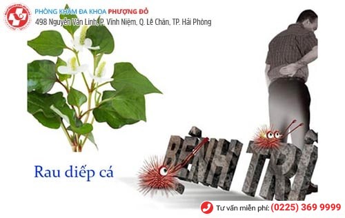Phòng khám đa khoa Phượng Đỏ