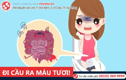 Phòng khám đa khoa Phượng Đỏ
