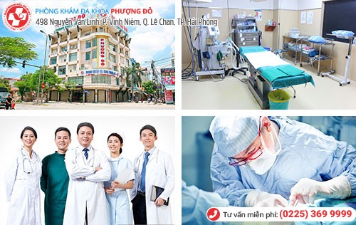 Phượng Đỏ chữa sùi mào gà