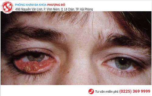 Phòng khám đa khoa Phượng Đỏ