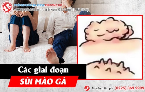 Phòng khám đa khoa Phượng Đỏ
