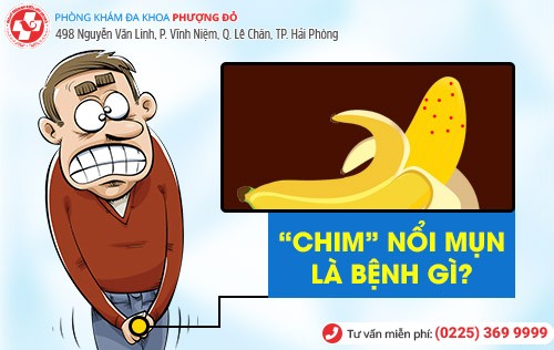 Phòng khám đa khoa Phượng Đỏ