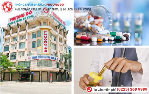 Phượng Đỏ chữa tiểu buốt lẫn máu bằng phương pháp tiên tiến Phượng Đỏ chữa tiểu buốt lẫn máu bằng phương pháp tiên tiến