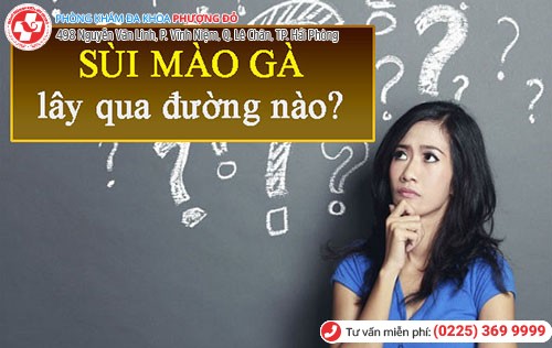 Bệnh sùi mào gà lây nhiễm qua nhiều con đường khác nhau Bệnh sùi mào gà lây nhiễm qua nhiều con đường khác nhau