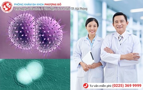 Phòng khám đa khoa Phượng Đỏ