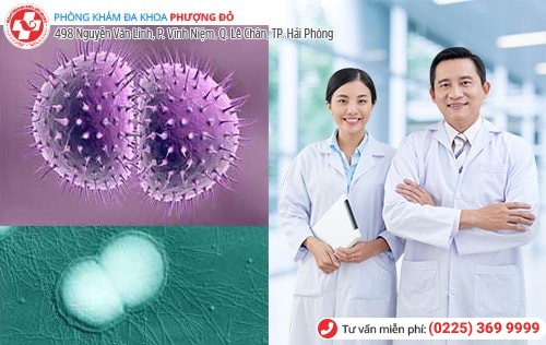 Phòng khám đa khoa Phượng Đỏ