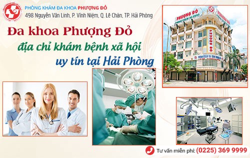 Đa Khoa Phượng Đỏ - địa chỉ chữa bệnh hoa liễu uy tín ở Hải Phòng Đa Khoa Phượng Đỏ - địa chỉ chữa bệnh hoa liễu uy tín ở Hải Phòng