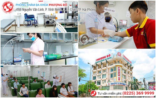 Phượng Đỏ chữa trị thành công nhiều ca bệnh lậu khó Phượng Đỏ chữa trị thành công nhiều ca bệnh lậu khó