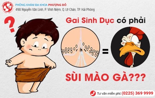 Phòng khám đa khoa Phượng Đỏ