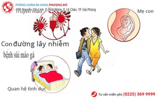 nguyên nhân gây sùi mào gà