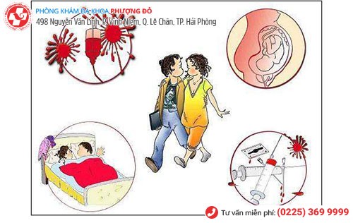 Bệnh mồng gà lây nhiễm qua nhiều con đường Bệnh mồng gà lây nhiễm qua nhiều con đường