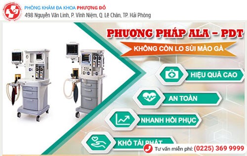 Rất nhiều trường hợp bị sùi mào gà khỏi nhờ phương pháp ALA-PDT Rất nhiều trường hợp bị sùi mào gà khỏi nhờ phương pháp ALA-PDT