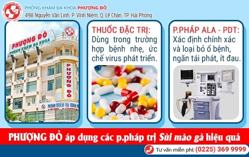 nguyên nhân sùi mào gà nguyên nhân sùi mào gà