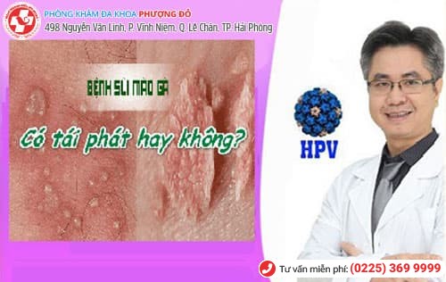 sùi mào gà tái phát sùi mào gà tái phát