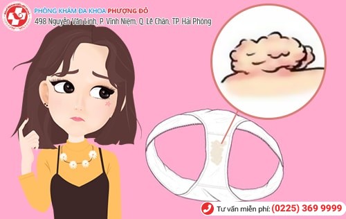 Phòng khám đa khoa Phượng Đỏ