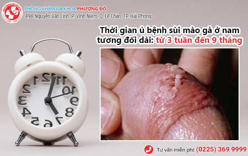 Thời gian ủ bệnh sùi mào gà 
