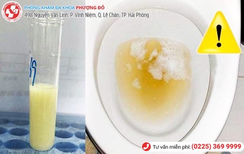 Phòng khám đa khoa Phượng Đỏ