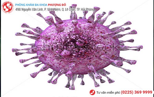 Phòng khám đa khoa Phượng Đỏ