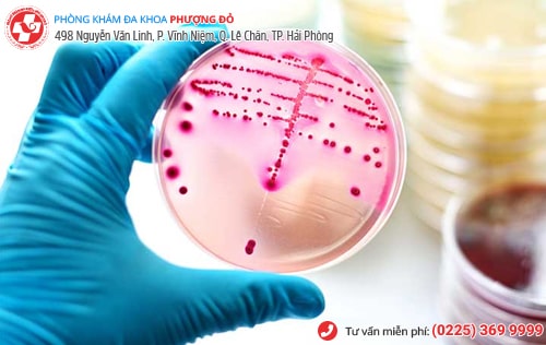 Phòng khám đa khoa Phượng Đỏ
