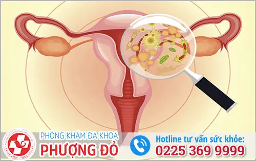 Phòng khám đa khoa Phượng Đỏ