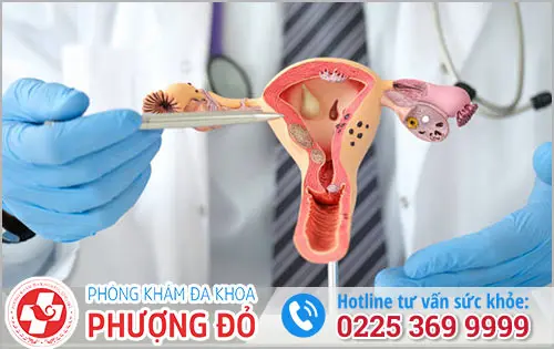 Phòng khám đa khoa Phượng Đỏ