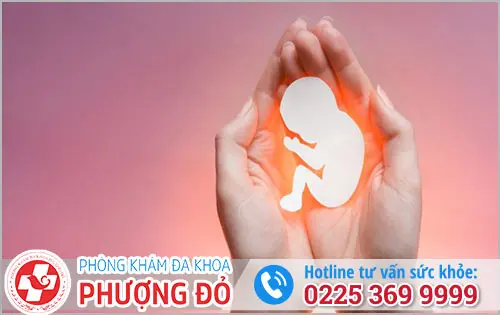 Phòng khám đa khoa Phượng Đỏ