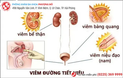 Phòng khám đa khoa Phượng Đỏ